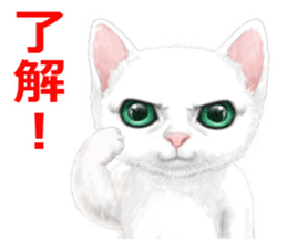 White kitty diary 2 Mandarin Chinese sticker #11422123