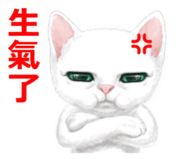 White kitty diary 2 Mandarin Chinese sticker #11422125