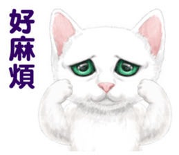 White kitty diary 2 Mandarin Chinese sticker #11422147