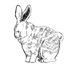 Something Sucks Rabbit In search of love sticker #11424909