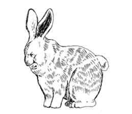 Something Sucks Rabbit In search of love sticker #11424909