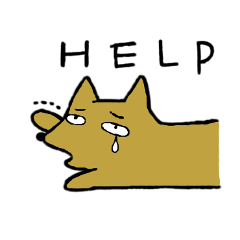 Daily life of Melon, the dog 2