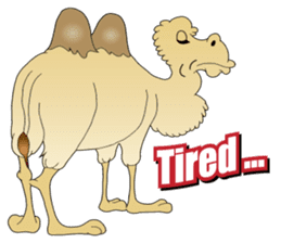 Carefree Camel & Hasty Ostrich sticker #11426114