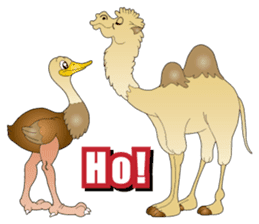 Carefree Camel & Hasty Ostrich sticker #11426131