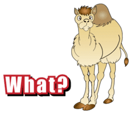 Carefree Camel & Hasty Ostrich sticker #11426151