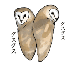 Scary cute barn owl 2 sticker #11426748