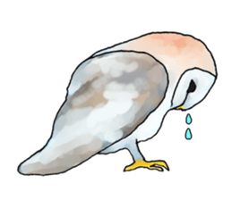 Scary cute barn owl 2 sticker #11426763