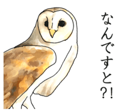 Scary cute barn owl 2 sticker #11426768