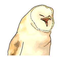 Scary cute barn owl 2 sticker #11426769