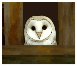 Scary cute barn owl 2 sticker #11426775
