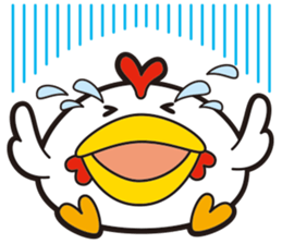 KOKKE-, they sticker #11430470