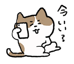 funny cats stamp sticker #11430766