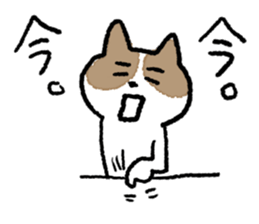 funny cats stamp sticker #11430781