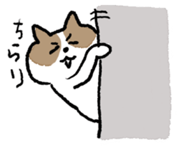 funny cats stamp sticker #11430786