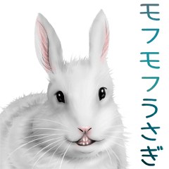 動物 Lineクリエイターズスタンプまとめ Stamplist Part 533 動物 Lineクリエイターズスタンプまとめ Stamplist Part 533