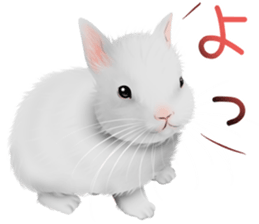 mohu mohu usagi sticker #11430872