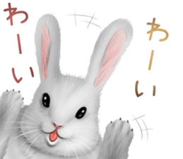 mohu mohu usagi sticker #11430877