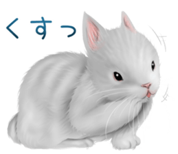 mohu mohu usagi sticker #11430879