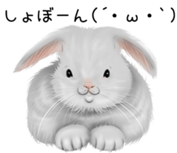 mohu mohu usagi sticker #11430881