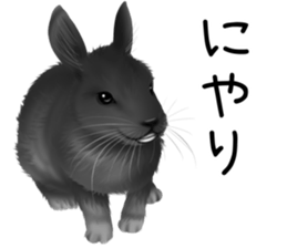 mohu mohu usagi sticker #11430883