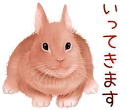 mohu mohu usagi sticker #11430886