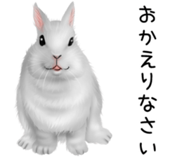 mohu mohu usagi sticker #11430887