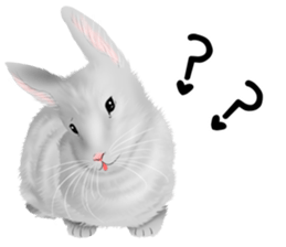 mohu mohu usagi sticker #11430897