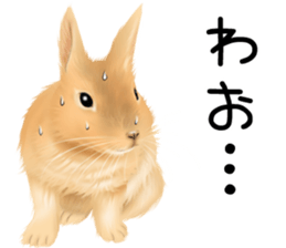 mohu mohu usagi sticker #11430900