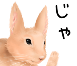 mohu mohu usagi sticker #11430905