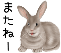 mohu mohu usagi sticker #11430907