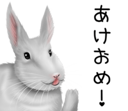 mohu mohu usagi sticker #11430908