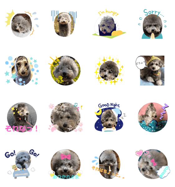 モフモフトイプードルの小梅 Lineスタンプマニア クリエイターズスタンプ モフモフトイプードルの小梅 Lineスタンプマニア クリエイターズスタンプ