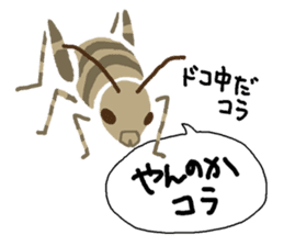 Message from insects sticker #11433139