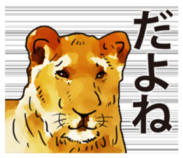 Watercolor lion sticker sticker #11433193