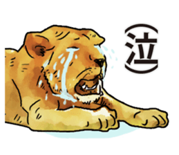 Watercolor lion sticker sticker #11433205