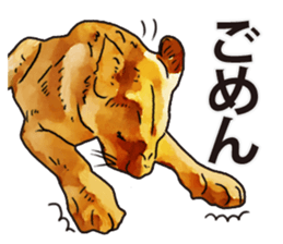Watercolor lion sticker sticker #11433208