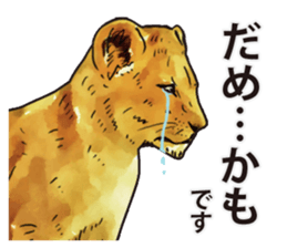 Watercolor lion sticker sticker #11433210