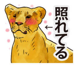 Watercolor lion sticker sticker #11433213