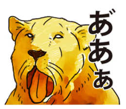 Watercolor lion sticker sticker #11433223