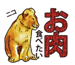 Watercolor lion sticker sticker #11433225