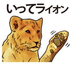 Watercolor lion sticker sticker #11433229