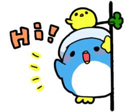 Star Penguin2 sticker #11433392
