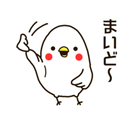 White birds. -Kansai flavor- sticker #11434900