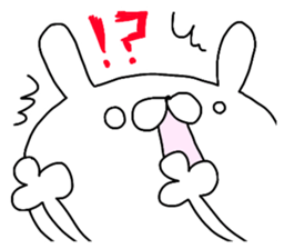 Miscellaneous cat miscellaneous rabbit. sticker #11436346