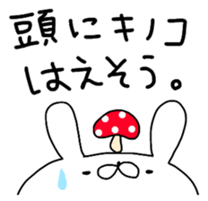 Miscellaneous cat miscellaneous rabbit. sticker #11436349