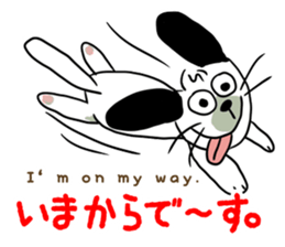 White dog with a name as KURO sticker #11439946