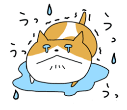 Spotted cat Sticker sticker #11440730