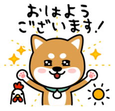 Messenger dog ! Mameshiba sticker #11440993