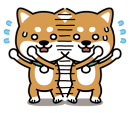 Messenger dog ! Mameshiba sticker #11440995