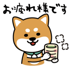 Messenger dog ! Mameshiba sticker #11440998